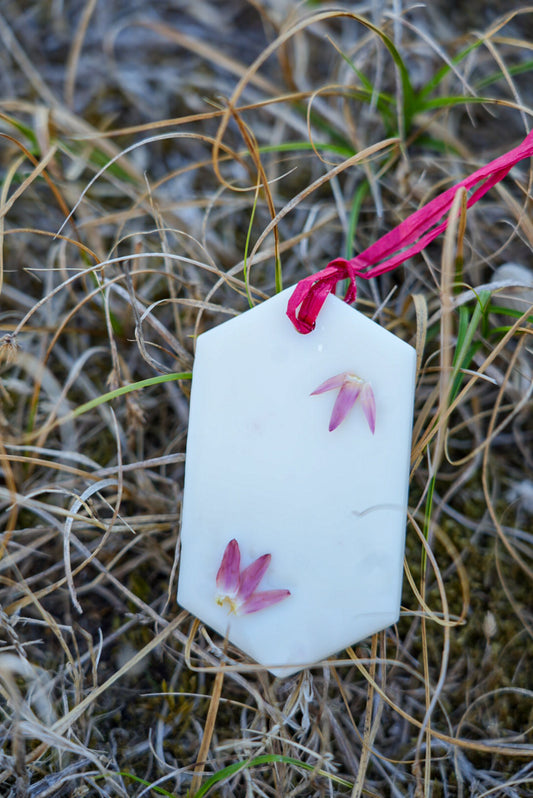Suspension Pivoine